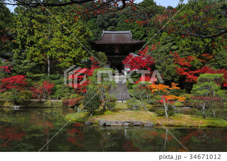 紅葉の円成寺 34671012