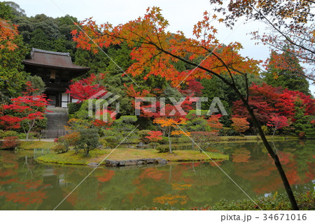紅葉の円成寺 34671016