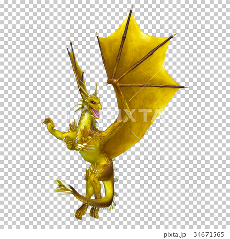 Dragon Dragon 34671565