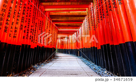 京都 伏見稲荷大社 日本の写真素材