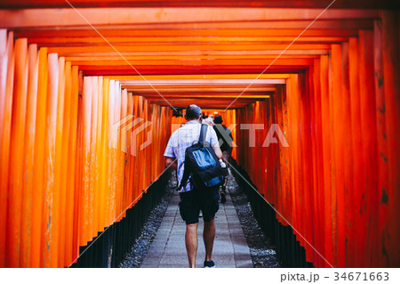 京都 伏見稲荷大社 日本 34671663