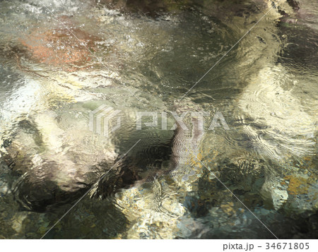 渓流 円原川(岐阜県) 渓流 円原川(岐阜県) 34671805