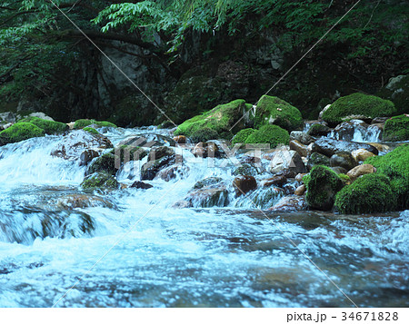 渓流　円原川（岐阜県） 34671828