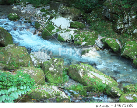渓流　円原川（岐阜県） 34671836
