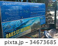 ニューカレドニア・ラグーン水族館 34673685
