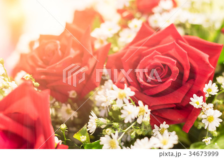 Close up red roses bouquet 34673999