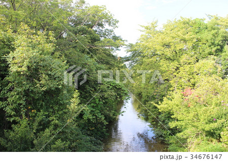 公園　晴天 34676147