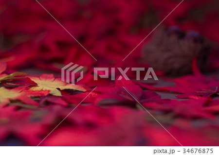 紅葉 栗 テクスチャー フェイク CG素材 ライティング 紅葉 栗 テクスチャー フェイク CG素材 ライティング 34676875