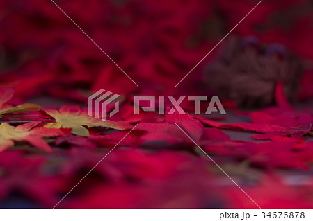 紅葉 栗 テクスチャー フェイク CG素材 ライティング 紅葉 栗 テクスチャー フェイク CG素材 ライティング 34676878