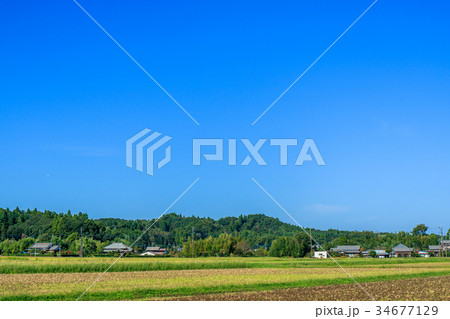 長南町 睦沢町の里山の風景 長南町 睦沢町の里山の風景 34677129