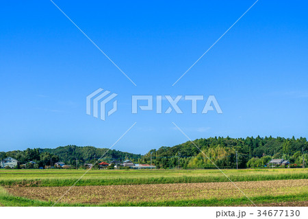 長南町　睦沢町の里山の風景 34677130