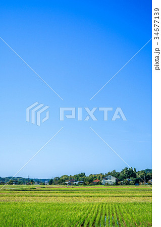 長南町　睦沢町の里山の風景 34677139