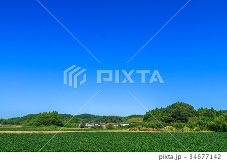 長南町　睦沢町の里山の風景 34677142