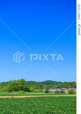 長南町 睦沢町の里山の風景 長南町 睦沢町の里山の風景 34677145