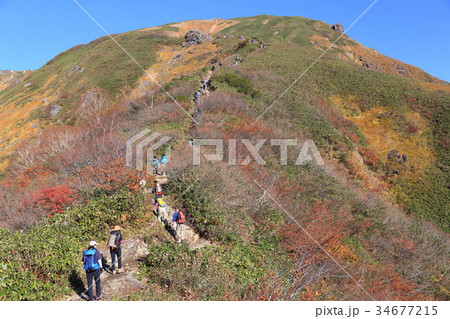 谷川岳 天神尾根の避難小屋を過ぎた辺りから見た尾根の写真素材