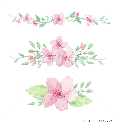 Set of flowers, leaves and branches 34677251