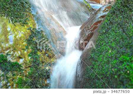 流れ、長良川-夫婦滝付近（夏） 34677650