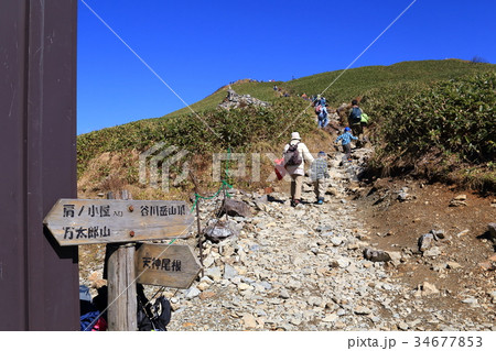谷川岳の肩ノ小屋から山頂方向を見る 谷川岳の肩ノ小屋から山頂方向を見る 34677853