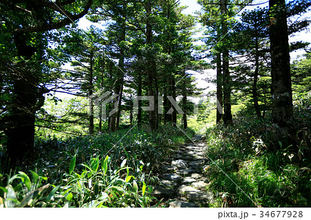 登山 トレッキングイメージ 34677928