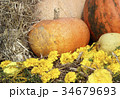 Image of autumn 34679693