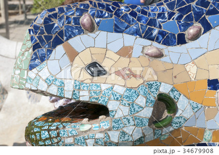 Barcelona lizard Barcelona lizard 34679908