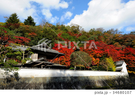 島根県津和野の堀庭園の紅葉の写真素材