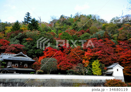 島根県津和野の堀庭園の紅葉の写真素材