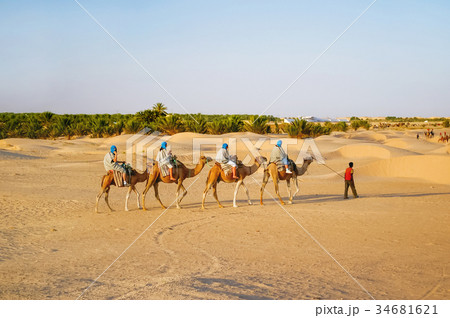 Tourists on camels meet sunset in Sahara desert. Tourists on camels meet sunset in Sahara desert. 34681621