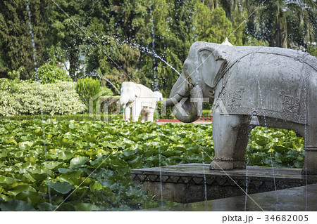 Saheliyon-ki-Bari is a major garden in Udaipur 34682005