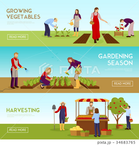 Gardening Season Horizontal Banners Set 34683765