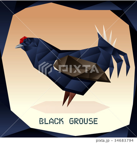 Origami Black Grouse 34683794