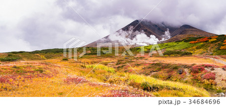 北海道 大雪山 旭岳 紅葉 34684696