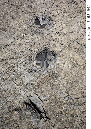 岩 石 グー 34684944