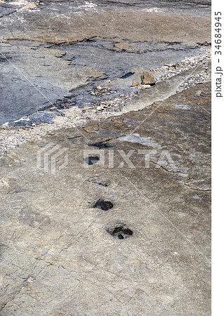 岩 石 グー 34684945