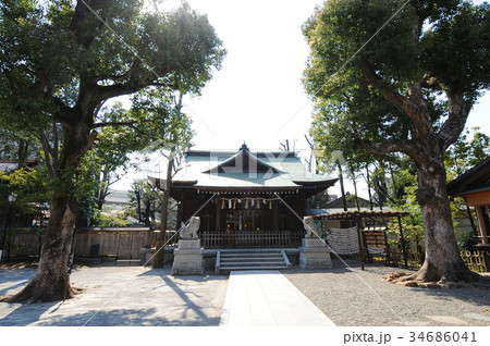 横浜市南区 お三の宮日枝神社 横浜市南区 お三の宮日枝神社 34686041