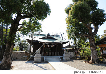 横浜市南区　お三の宮日枝神社 34686042