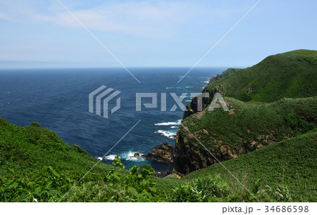 雄大でのどかな天売島　丘から望む美しい海　緑映える夏の風景 34686598