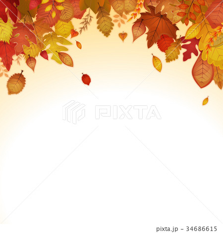 Autumn Leaves Background 34686615