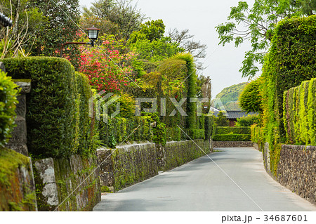 鹿児島　知覧の武家屋敷通り 34687601