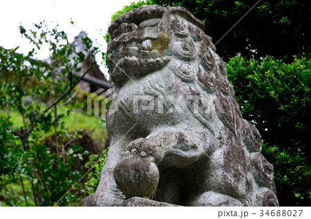 神社の狛犬 34688027