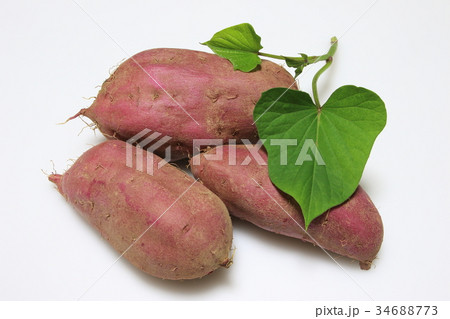 さつま芋（紅あずま） 34688773