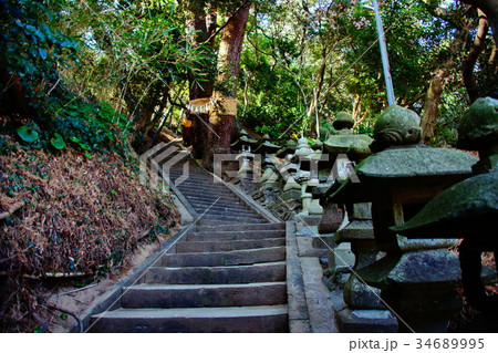 雲見 浅間神社　参道・石段 ＆ 石灯篭 （ 西伊豆・雲見神社 ） 静岡県 賀茂郡 雲見 34689995