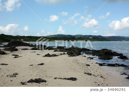 奄美大島あやまる岬の土盛海岸 34690291