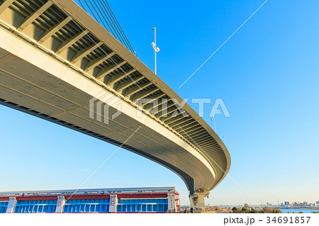 葛飾ハーブ橋 四ツ木 葛飾ハーブ橋 四ツ木 34691857