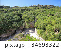 南の島の風景 34693322