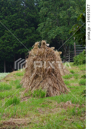 こえぐろ 34695077