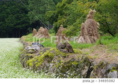 こえぐろ 34695082