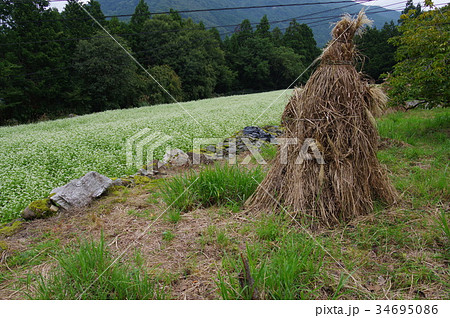 こえぐろ 34695086