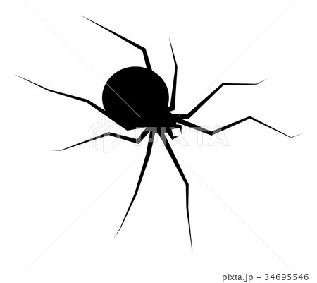 spider black widow silhouette vector symbol icon 34695546