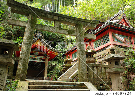 京都　石清水八幡宮　石清水社 34697324
